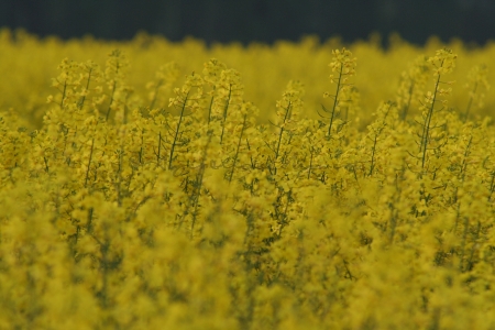 0049-Impressionen-AM