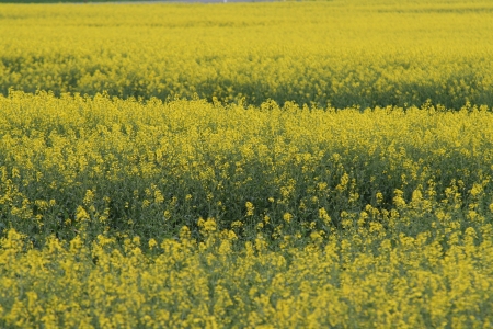 0053-Impressionen-AM