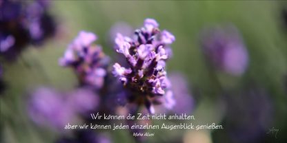 Grußkarte Lavendel