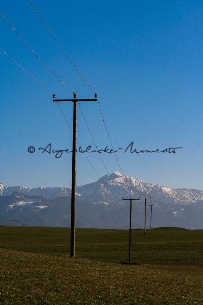 Landschaft im Murnaueer Moos